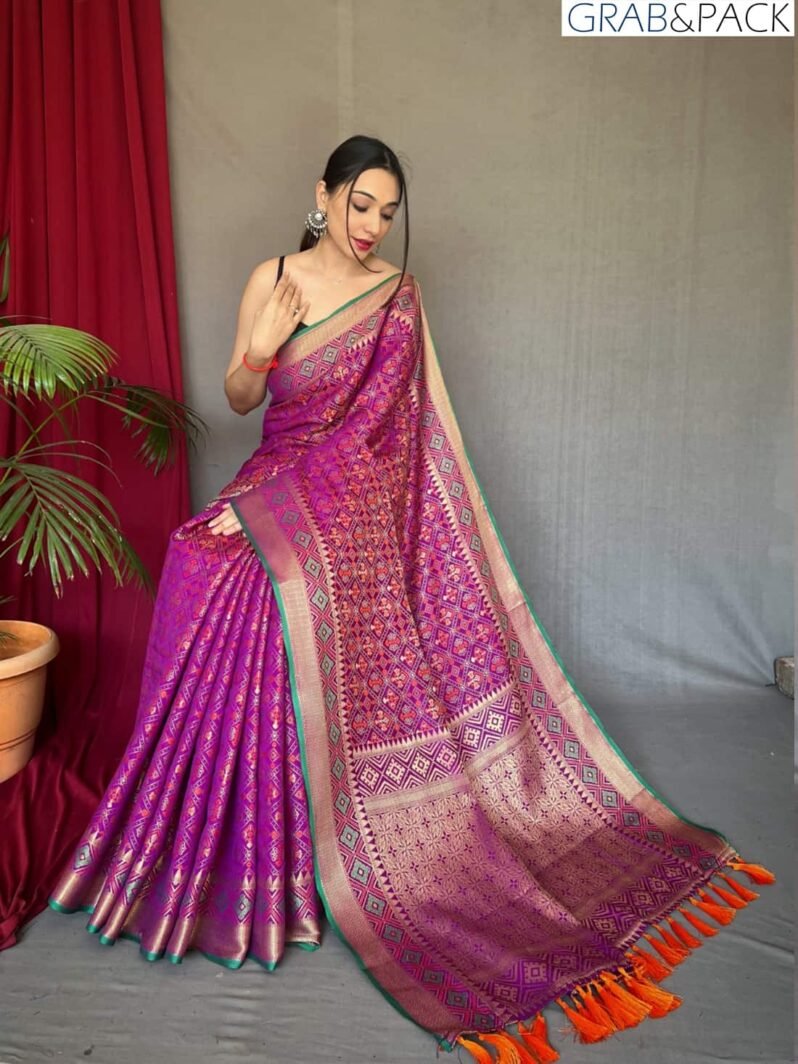 Magenta Patola Silk Saree GNP230012-2