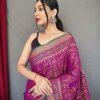 Magenta Patola Silk Saree GNP230012-3