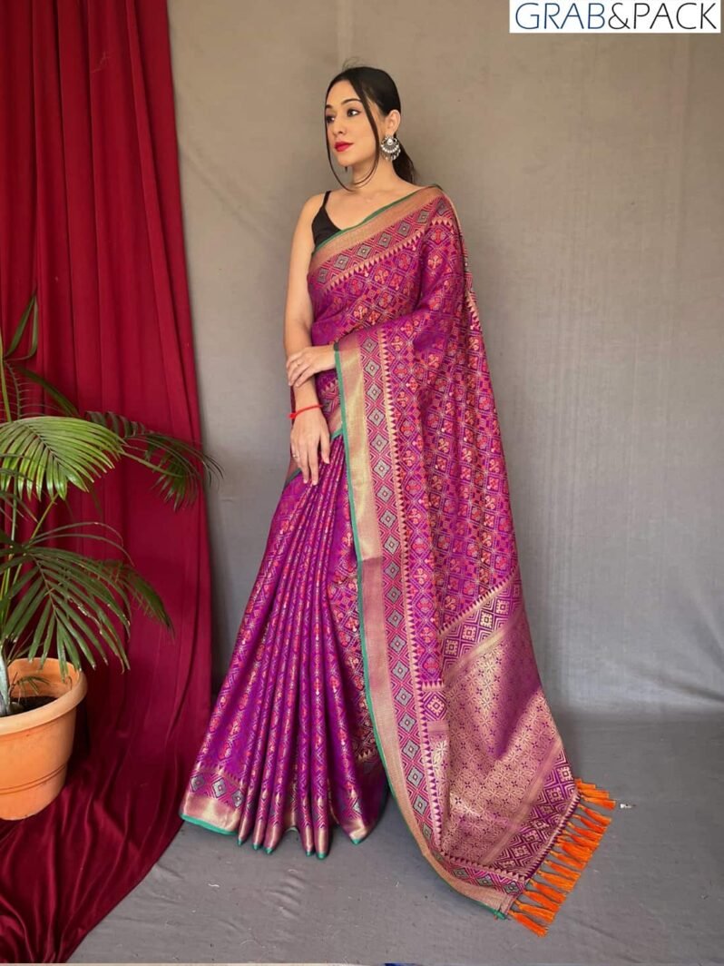 Magenta Patola Silk Saree GNP230012